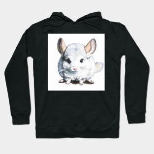 cute chinchilla 8 Hoodie